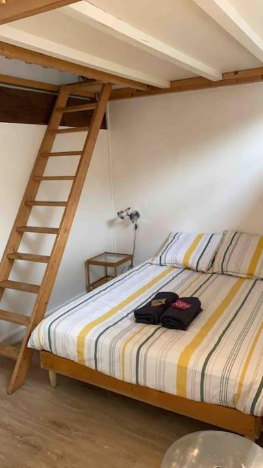 Le Saint-Lazare Appartement Au Calme Intra Muros Αβινιόν Εξωτερικό φωτογραφία