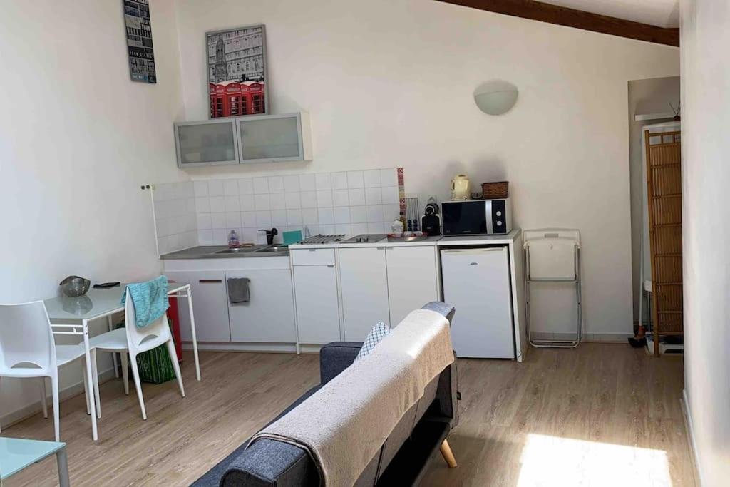 Le Saint-Lazare Appartement Au Calme Intra Muros Αβινιόν Εξωτερικό φωτογραφία